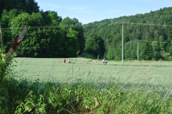 Bild: bilder/fron020k.jpg