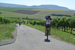 Bild: bilder/m13015k.jpg