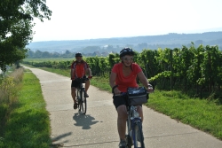 Bild: bilder/m13044k.jpg