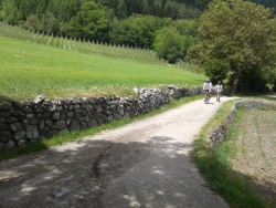 Bild: bilder/sut009k.jpg